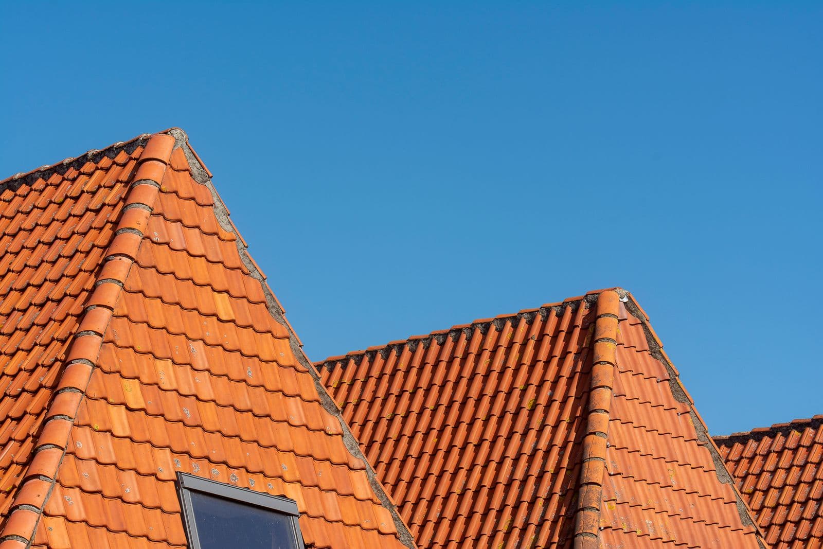 Terracotta roof tiles